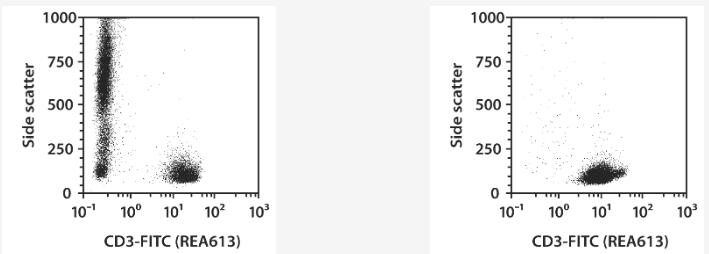CD3+ cells were isolated from whole blood using the StraightFrom Whole Blood REAlease CD3 MicroBead Kit, human and Whole Blood Columns. Cells were fluorescently stained with the REAfinity Antibody CD3-FITC and analyzed by flow cytometry using the MACSQuant Analyzer X. Cell debris and dead cells were excluded from the analysis based on scatter signals and propidium iodide fluorescence.